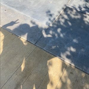 Meet your Posher, Sadie